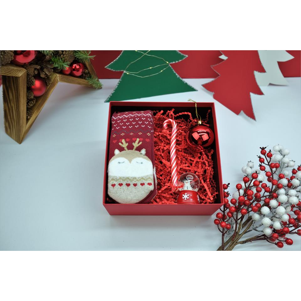 Mini Kar Küreli Çoraplı Yılbaşı hediye Kutusu 